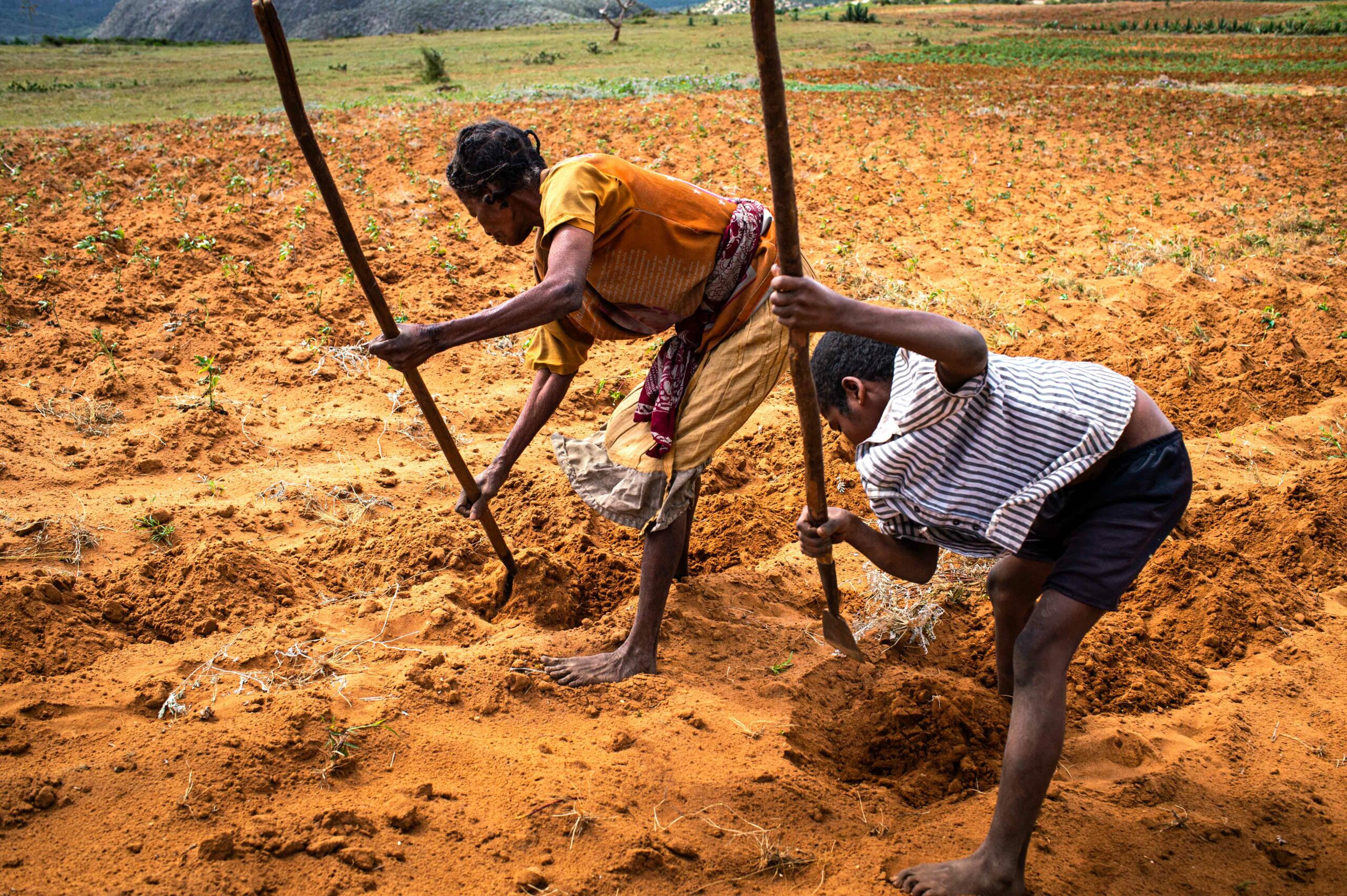 Mother and son using tools to prepare the ground for planting