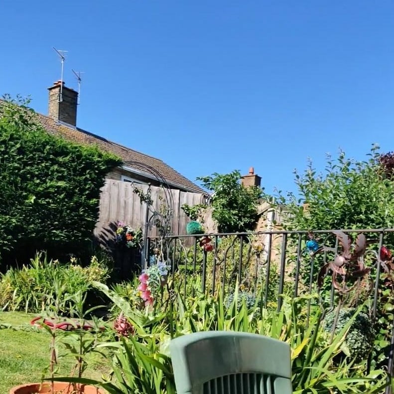 A small garden with a chair in the foreground