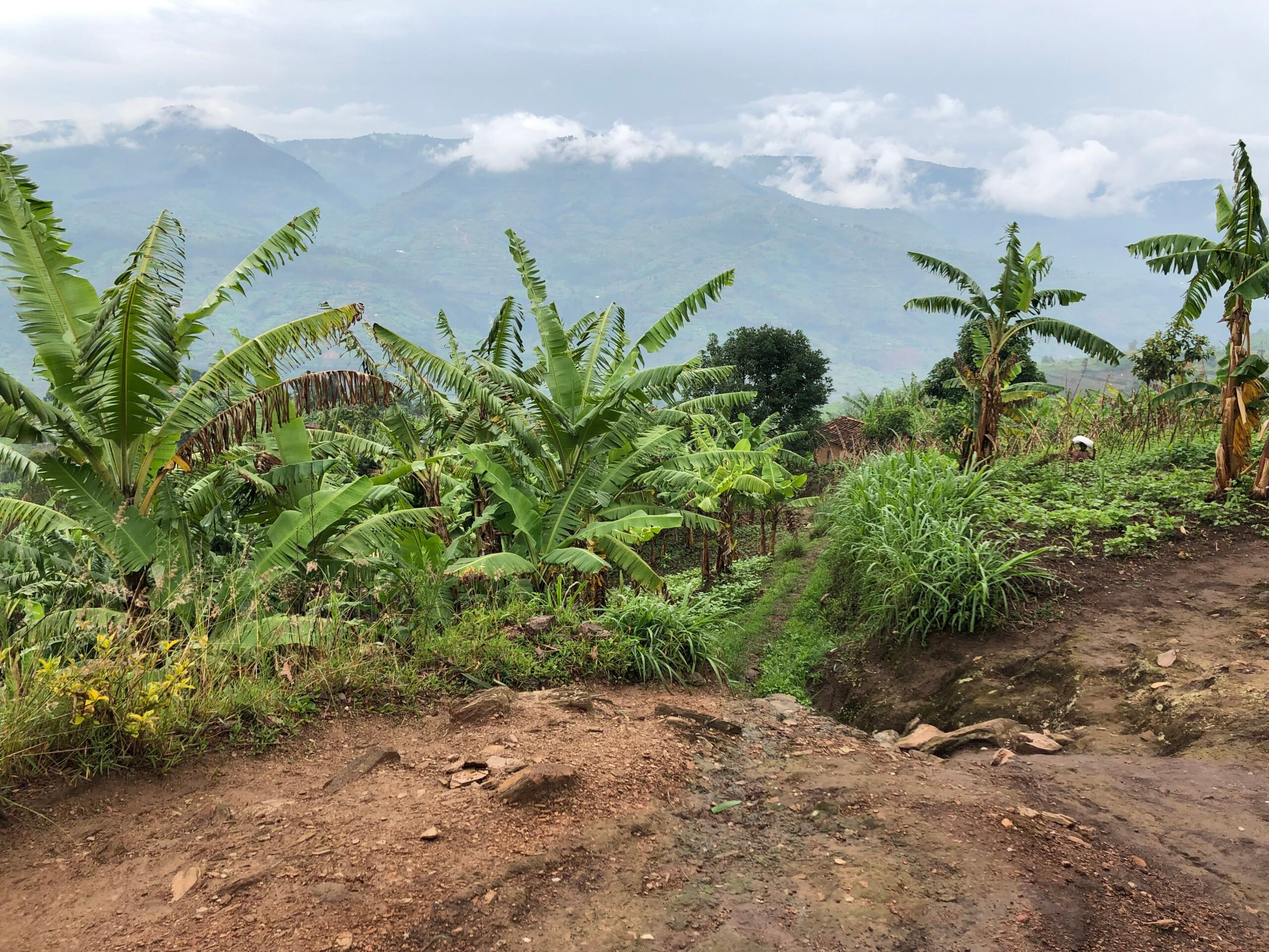 View of the mountains surrounding Jean-Baptiste's home