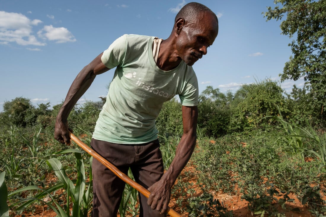 Julius using a rake to plough his land.