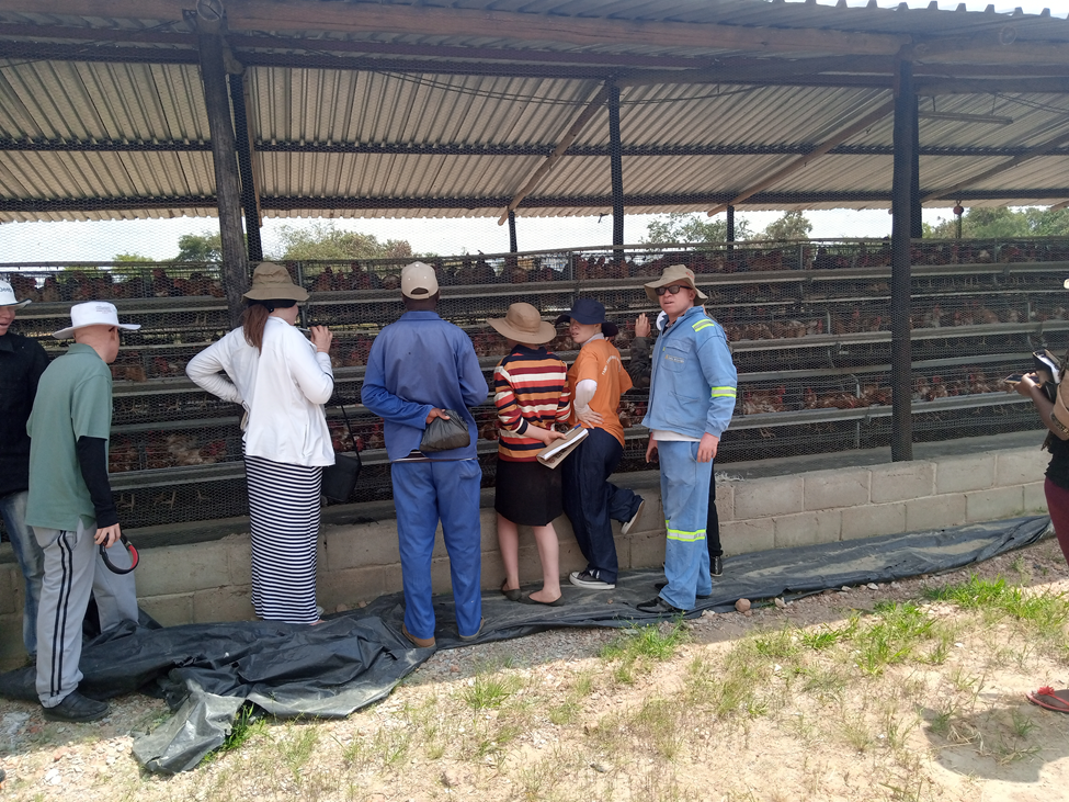 Youths with albinism at the poultry production unit at Zviko farm, Zimbabwe