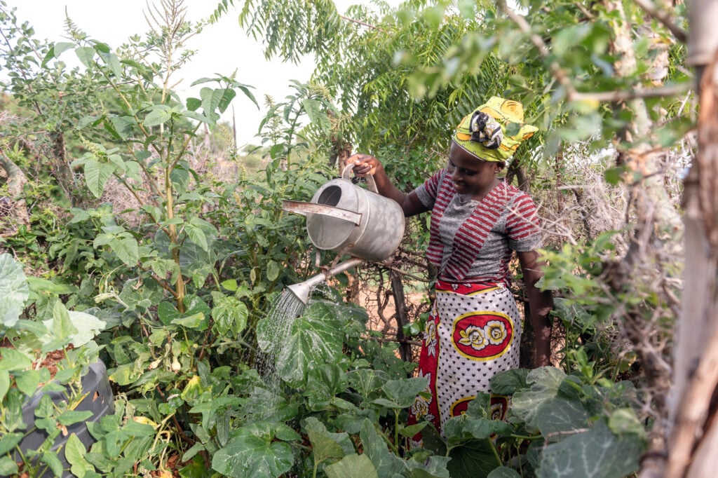 Dorcas stands in a kitchen garden, watering plants with a watering can.
