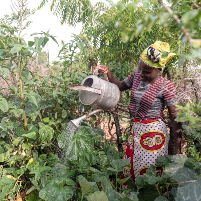 Dorcas stands in a kitchen garden, watering plants with a watering can.
