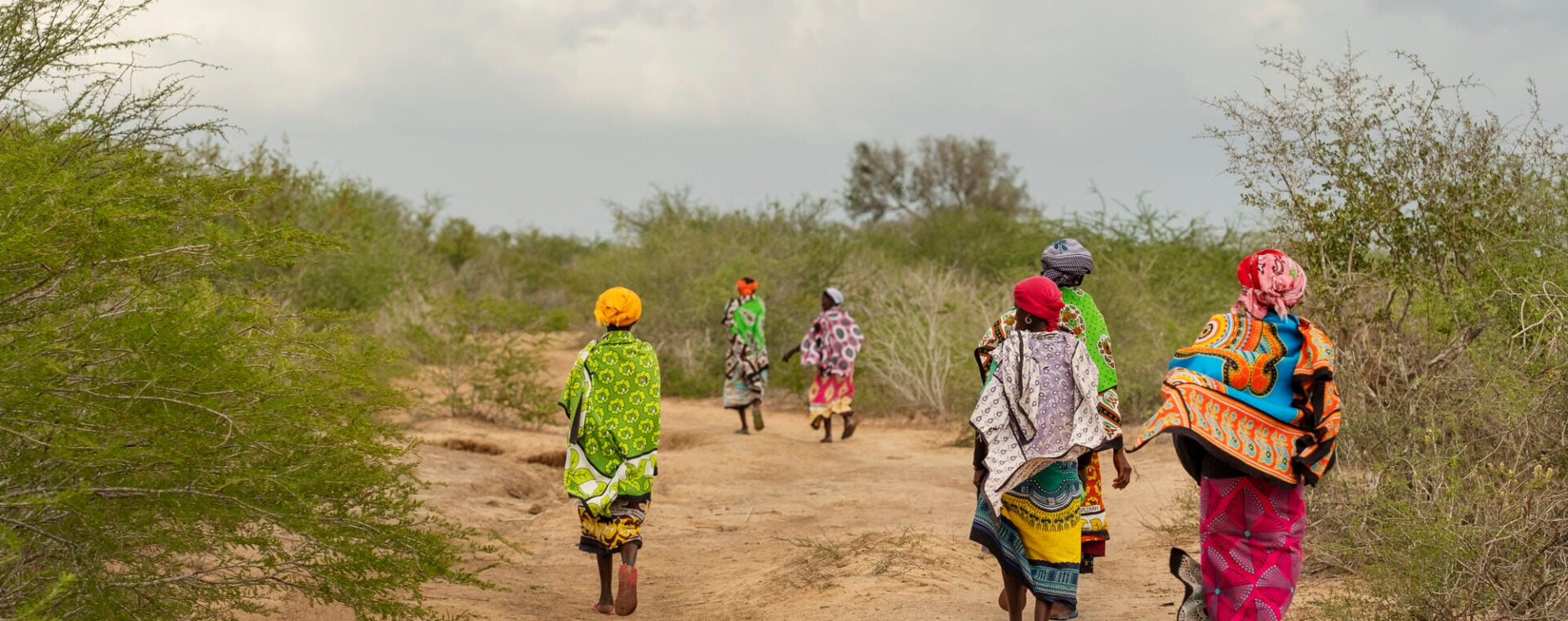 A group of women who are members of an Organisation of Persons with Disabilities walk down a path in Kenya.