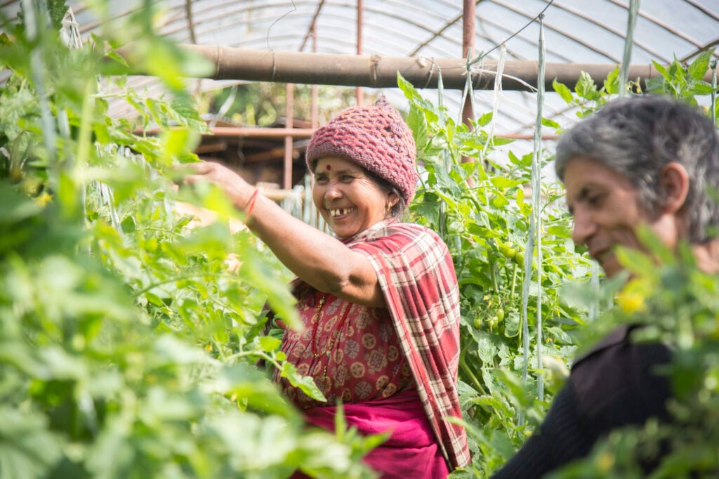 A woman stands in a greenhouse, reaching out to a plant. A man is stood next to her.
