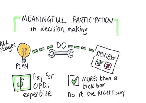 MEANINGFUL PARTICIPATION in decision making: Shows the full cycle of engagement: 'ALL stages' with lightbulb icon: PLAN then DO then REVIEW (with checkmarks and X marks for evaluation). 'Pay for OPDs expertise.' Text emphasises: 'MORE than a tick box - Do it the RIGHT way'