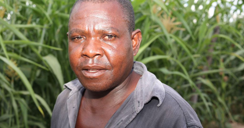 A man from zimbabwe, has cataracts. He is standing amongst some crops.