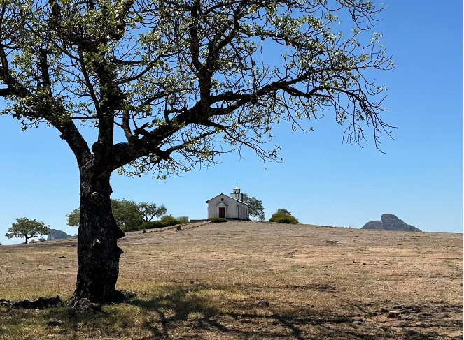 A church sits at the top of a hill. In the foreground is a tree.