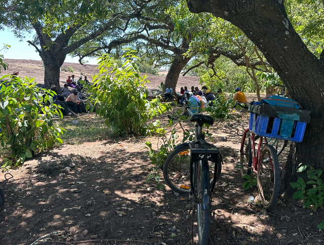 People sitting under a tree with two bicycles in the foreground.